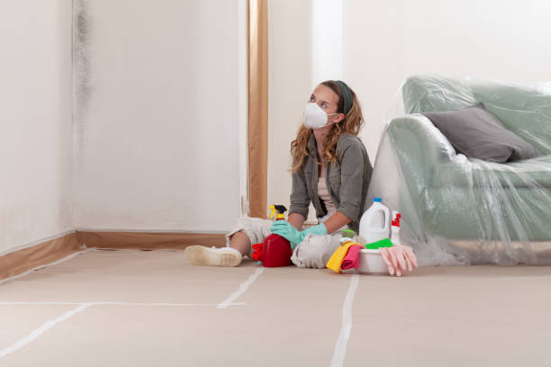 Reliable Mold Cleanup contractor in Allston, MA by WQB Mold Removal